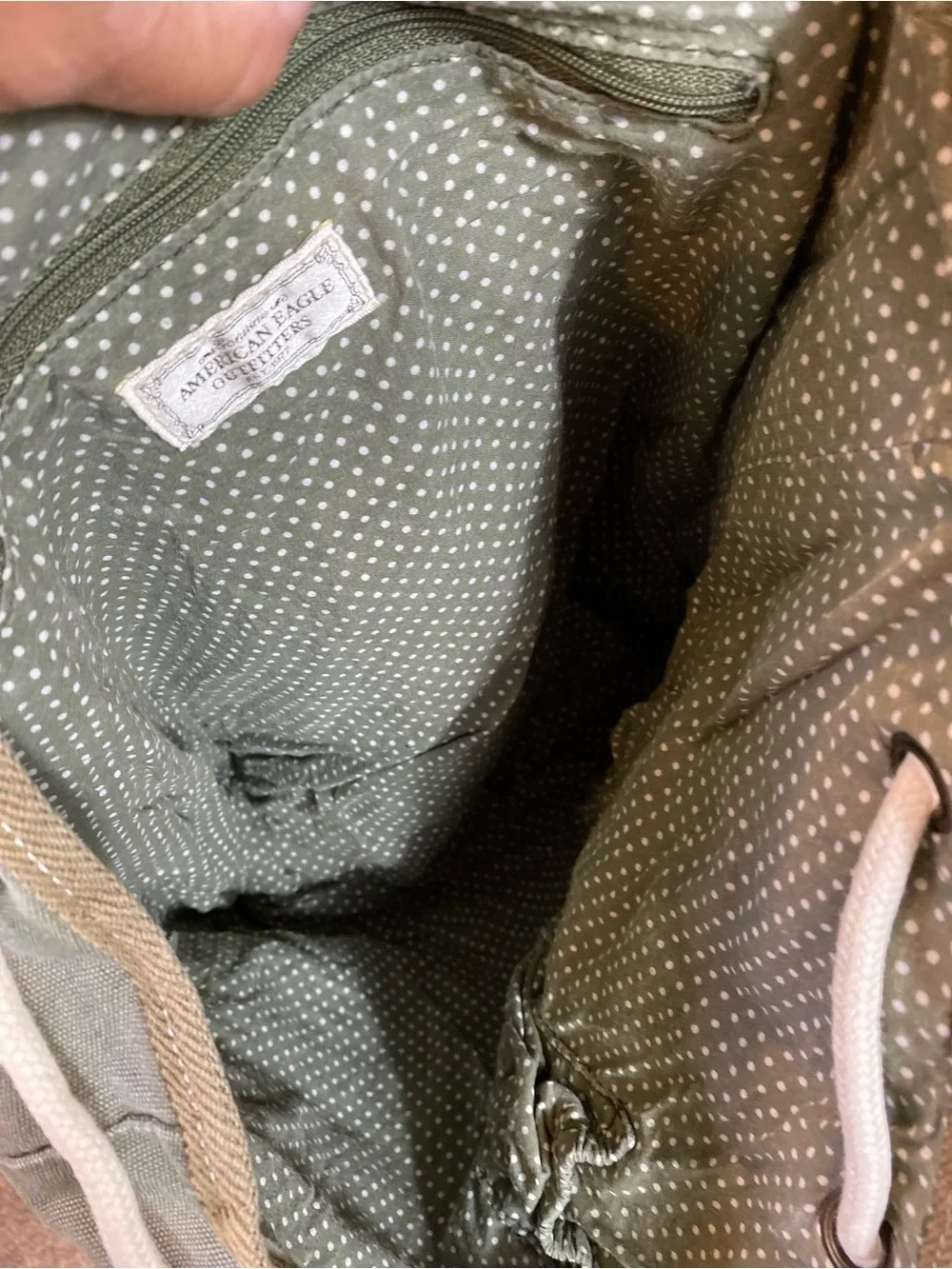 American Eagle Outfitters Sage Green Canvas Backpack with Brown Trim